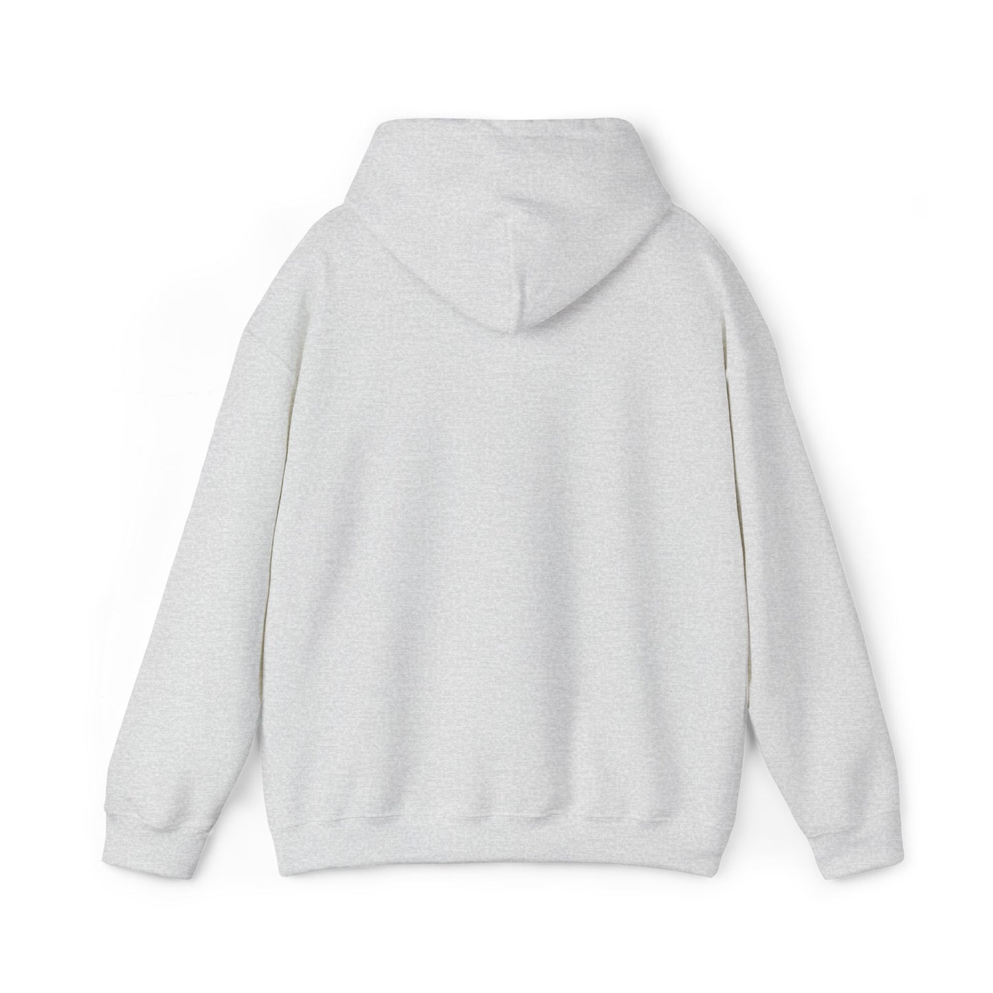 SORA Cozy Unisex Hooded Sweatshirt with Sleek Design, Gift for Friends, Casual Wear, Cozy Lounge