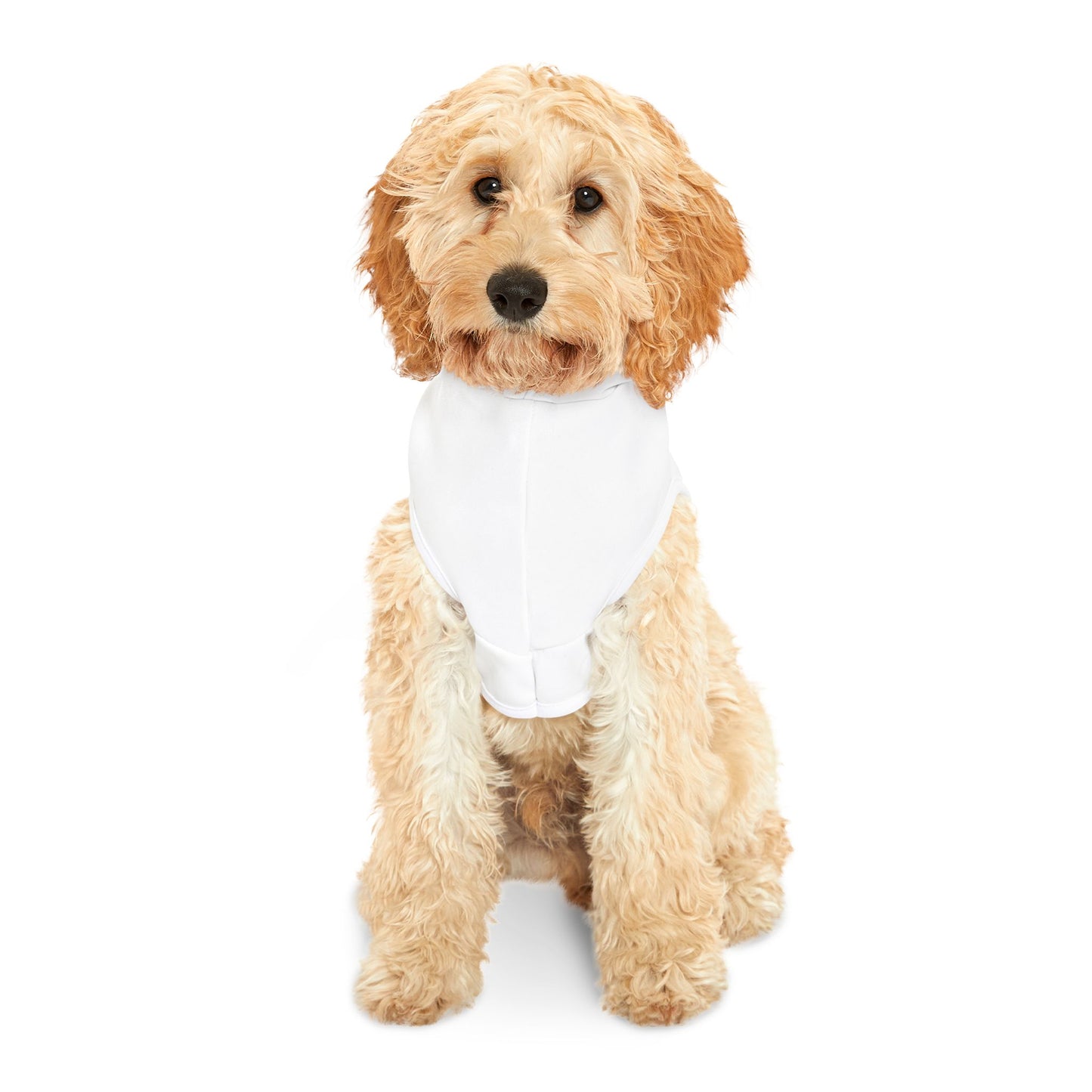 SORA Pet Hoodie — White Dog & Cat Hoodie with Small Black Bolt Logo