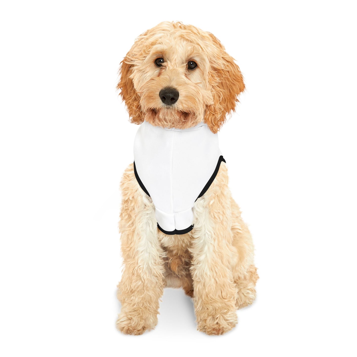 SORA Pet Hoodie — White Dog & Cat Hoodie with Small Black Bolt Logo